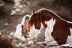 Frau und Welsh Pony