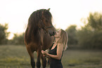 Welshpony