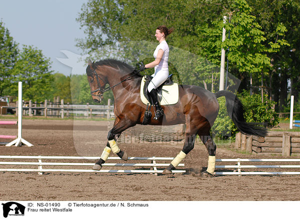 Frau reitet Westfale / woman rides horse / NS-01490