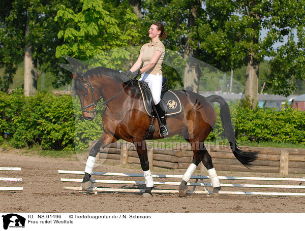 Frau reitet Westfale / woman rides horse / NS-01496
