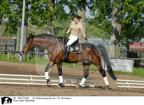 Frau reitet Westfale / woman rides horse / NS-01498