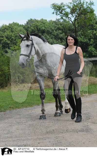 Frau und Westfale / woman and warmblood / AP-07710