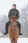 Frau reitet Zangersheider Sportpferd