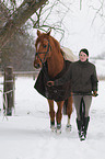 Frau und Zangersheider Sportpferd