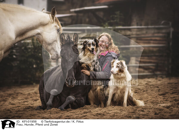 Frau, Hunde, Pferd und Zorse / KFI-01956