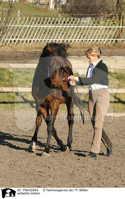seitwrts richten / walking sideways / PM-02864