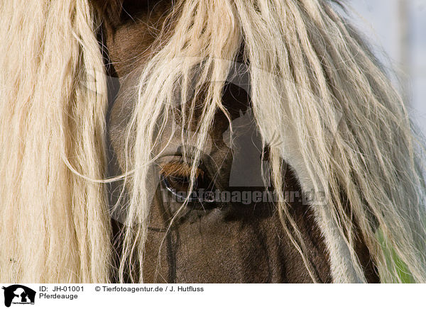 Pferdeauge / horse eye / JH-01001