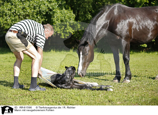 Mann mit neugeborenem Fohlen / man with newborn foal / RR-61596