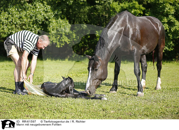 Mann mit neugeborenem Fohlen / man with newborn foal / RR-61597