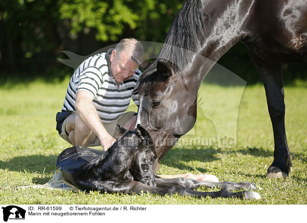 Mann mit neugeborenem Fohlen / man with newborn foal / RR-61599