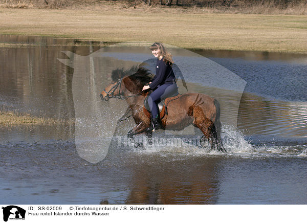 Frau reitet Islnder durchs Wasser / Leisure rider / SS-02009
