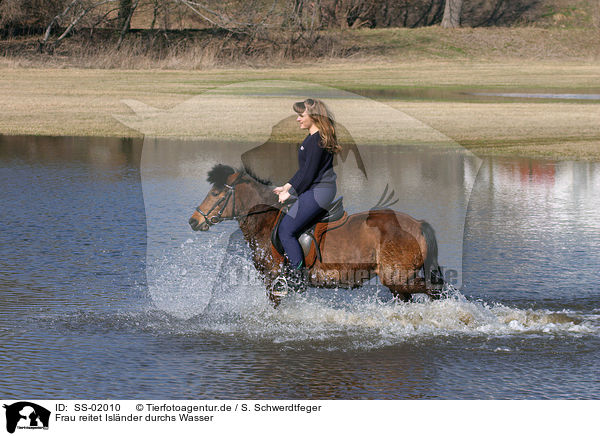 Frau reitet Islnder durchs Wasser / SS-02010