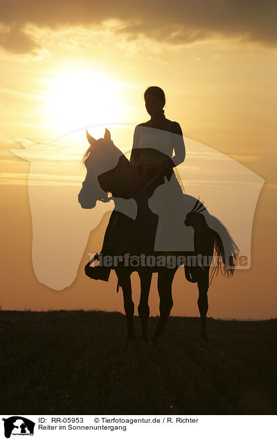 Reiter im Sonnenuntergang / Leisure rider / RR-05953