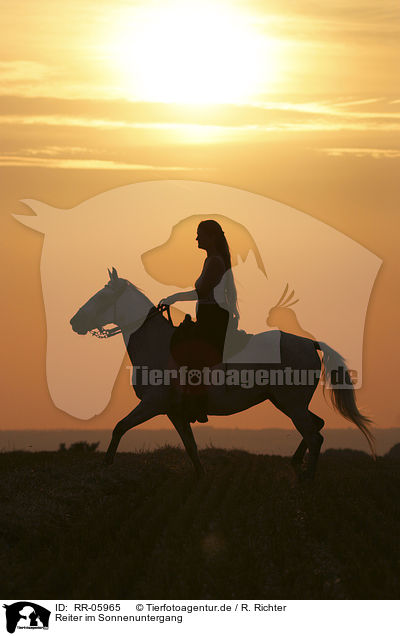 Reiter im Sonnenuntergang / Leisure rider / RR-05965
