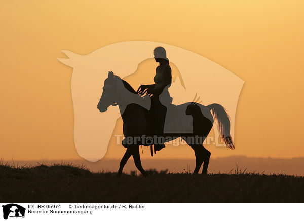 Reiter im Sonnenuntergang / Leisure rider / RR-05974