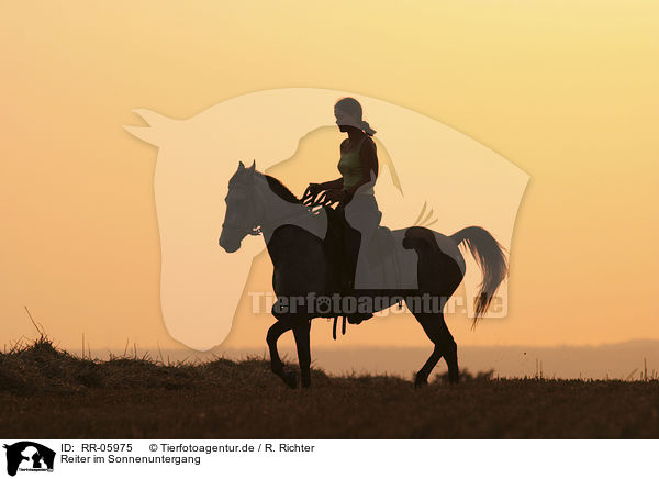Reiter im Sonnenuntergang / RR-05975