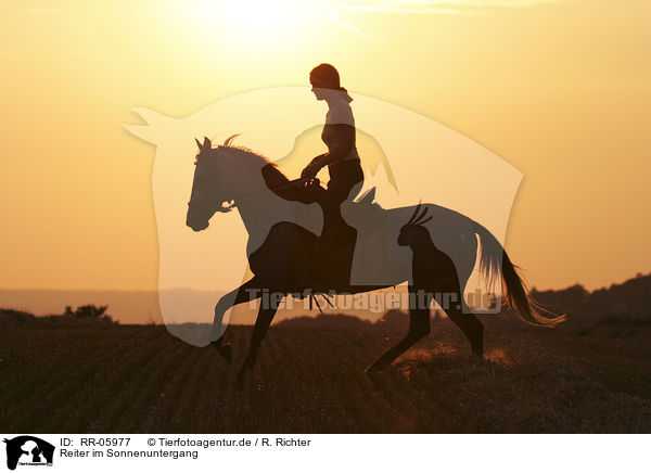 Reiter im Sonnenuntergang / Leisure rider / RR-05977