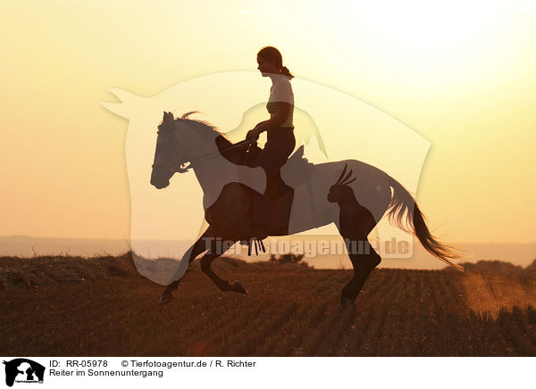 Reiter im Sonnenuntergang / Leisure rider / RR-05978
