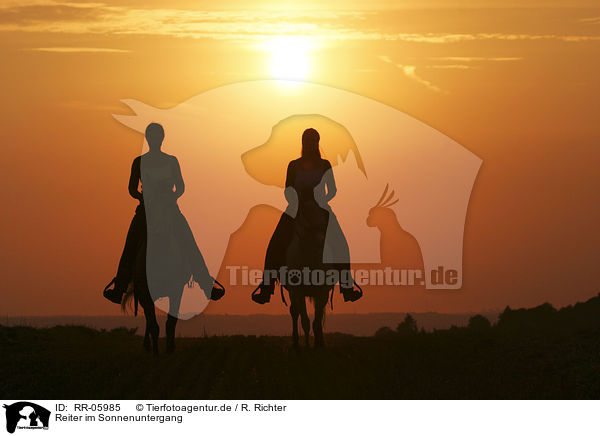 Reiter im Sonnenuntergang / Leisure rider / RR-05985