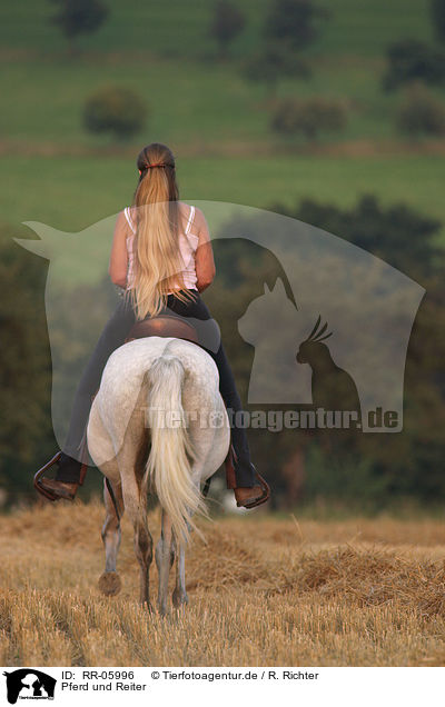 Pferd und Reiter / Leisure rider / RR-05996