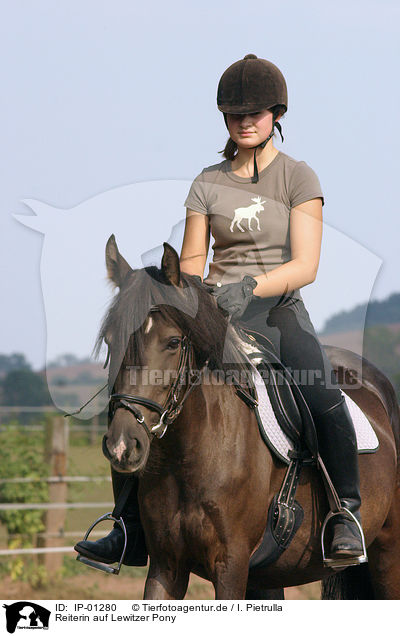 Reiterin auf Lewitzer Pony / Leisure rider / IP-01280