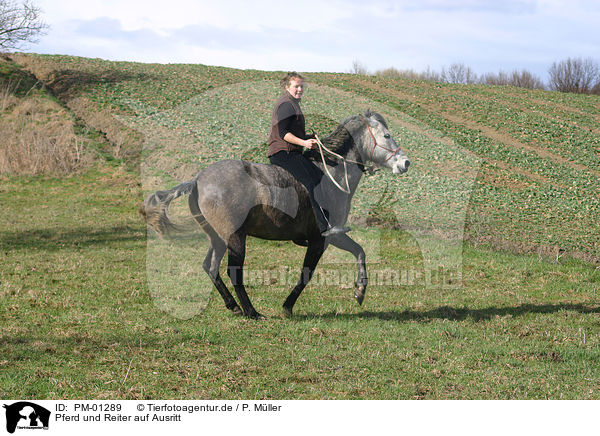 Pferd und Reiter auf Ausritt / Leisure rider / PM-01289