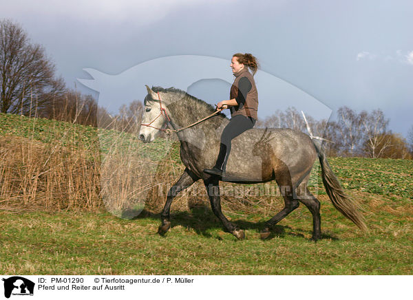 Pferd und Reiter auf Ausritt / Leisure rider / PM-01290