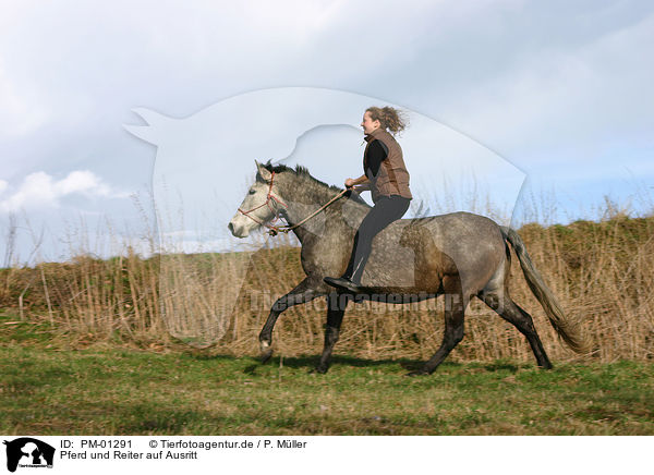 Pferd und Reiter auf Ausritt / Leisure rider / PM-01291