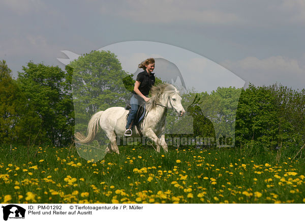 Pferd und Reiter auf Ausritt / PM-01292
