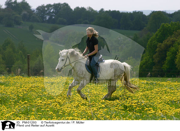 Pferd und Reiter auf Ausritt / Leisure rider / PM-01293