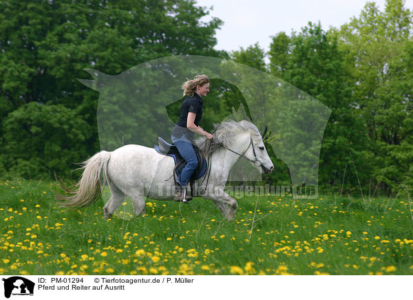 Pferd und Reiter auf Ausritt / Leisure rider / PM-01294