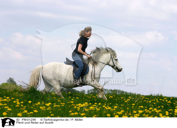 Pferd und Reiter auf Ausritt / PM-01296
