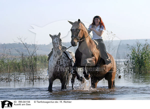 Ausritt am See / Leisure rider / RR-08156