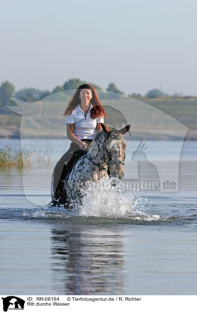 Ritt durchs Wasser / Leisure rider / RR-08164