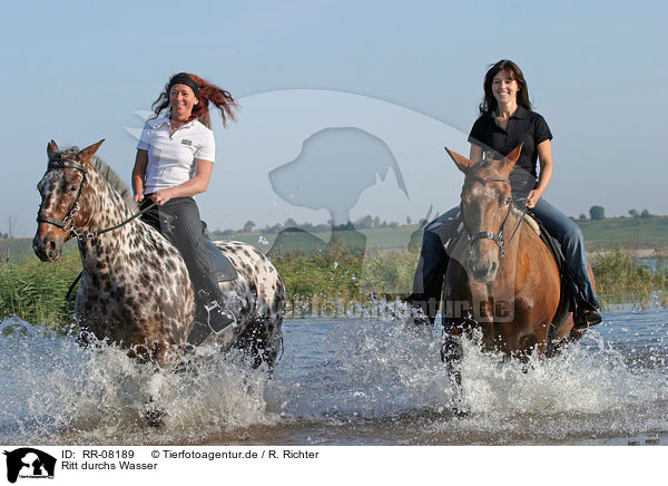 Ritt durchs Wasser / Leisure rider / RR-08189
