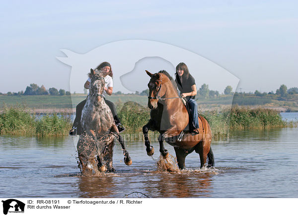 Ritt durchs Wasser / Leisure rider / RR-08191