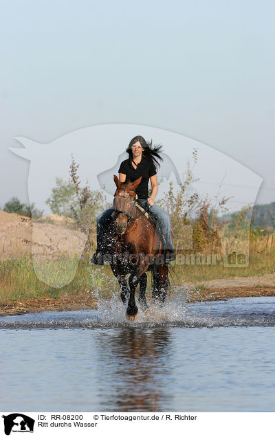 Ritt durchs Wasser / Leisure rider / RR-08200