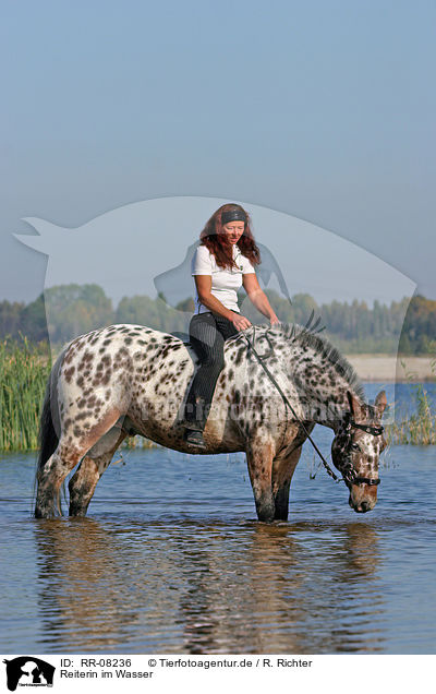 Reiterin im Wasser / Leisure rider / RR-08236