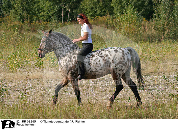 Freizeitreiten / Leisure rider / RR-08245