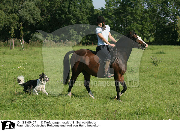 Frau reitet Deutsches Reitpony und wird von Hund begleitet / woman rides pony accompanied by a dog / SS-05467