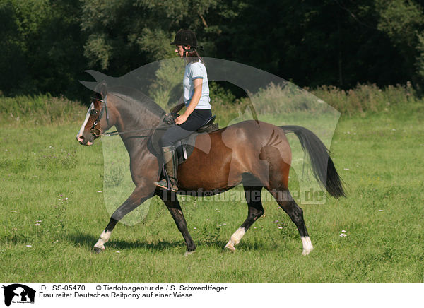 Frau reitet Deutsches Reitpony / woman rides pony in the meadow / SS-05470