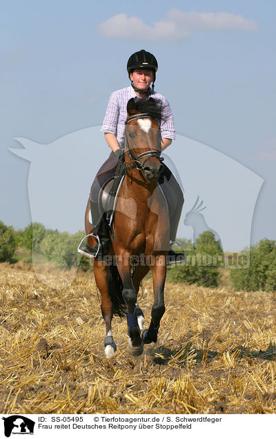 Frau reitet Deutsches Reitpony / woman rides pony on stubblefield / SS-05495