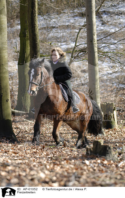 Freizeitreiten / riding / AP-01052