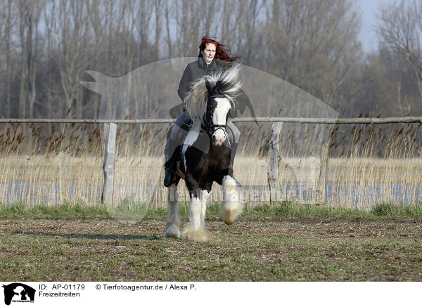 Freizeitreiten / riding woman / AP-01179