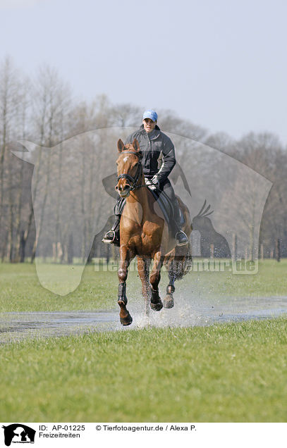 Freizeitreiten / riding girls / AP-01225