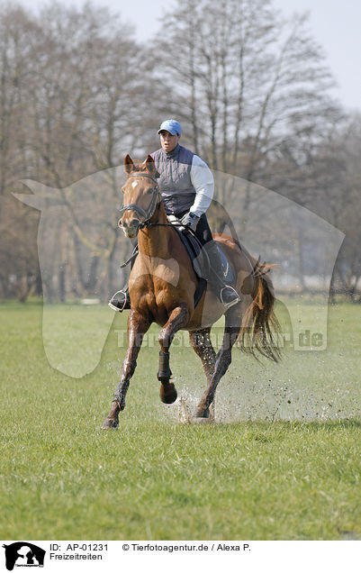 Freizeitreiten / riding girls / AP-01231