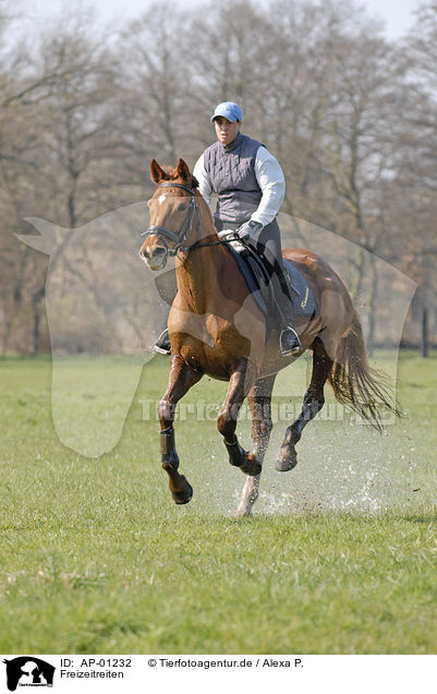 Freizeitreiten / riding girls / AP-01232