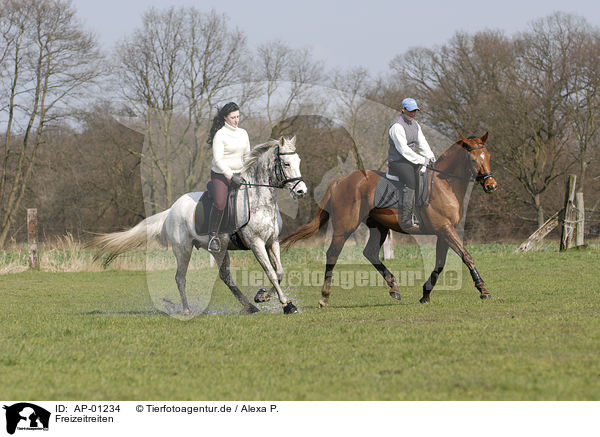 Freizeitreiten / riding girls / AP-01234