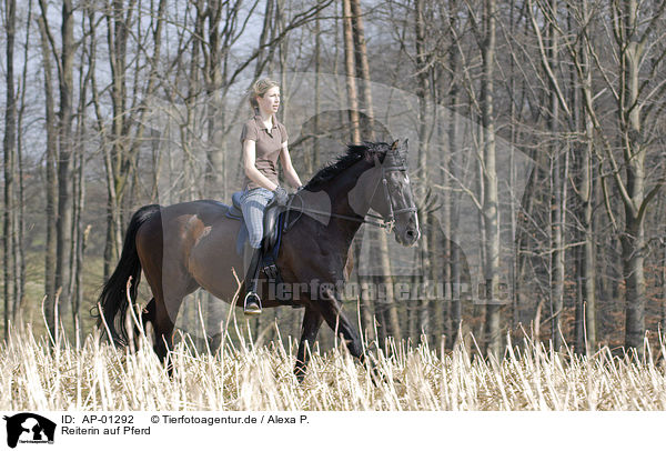 Reiterin auf Pferd / riding girl / AP-01292