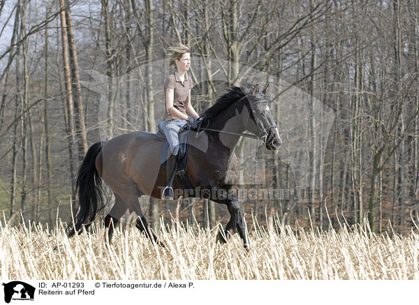 Reiterin auf Pferd / riding girl / AP-01293